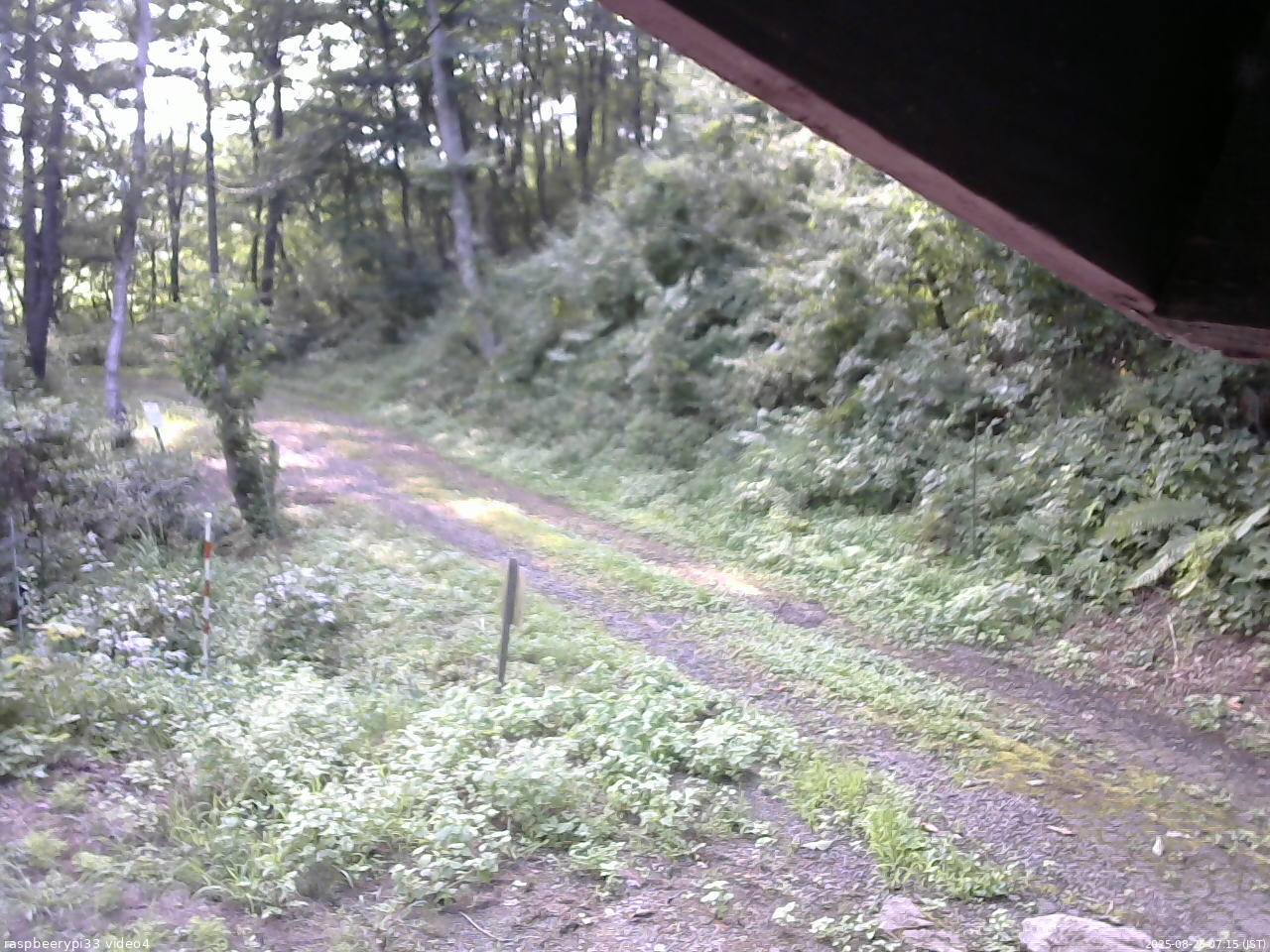 長野県菅平高原 ゆたか山荘 東側(坂下) 2025/08/26 07:15