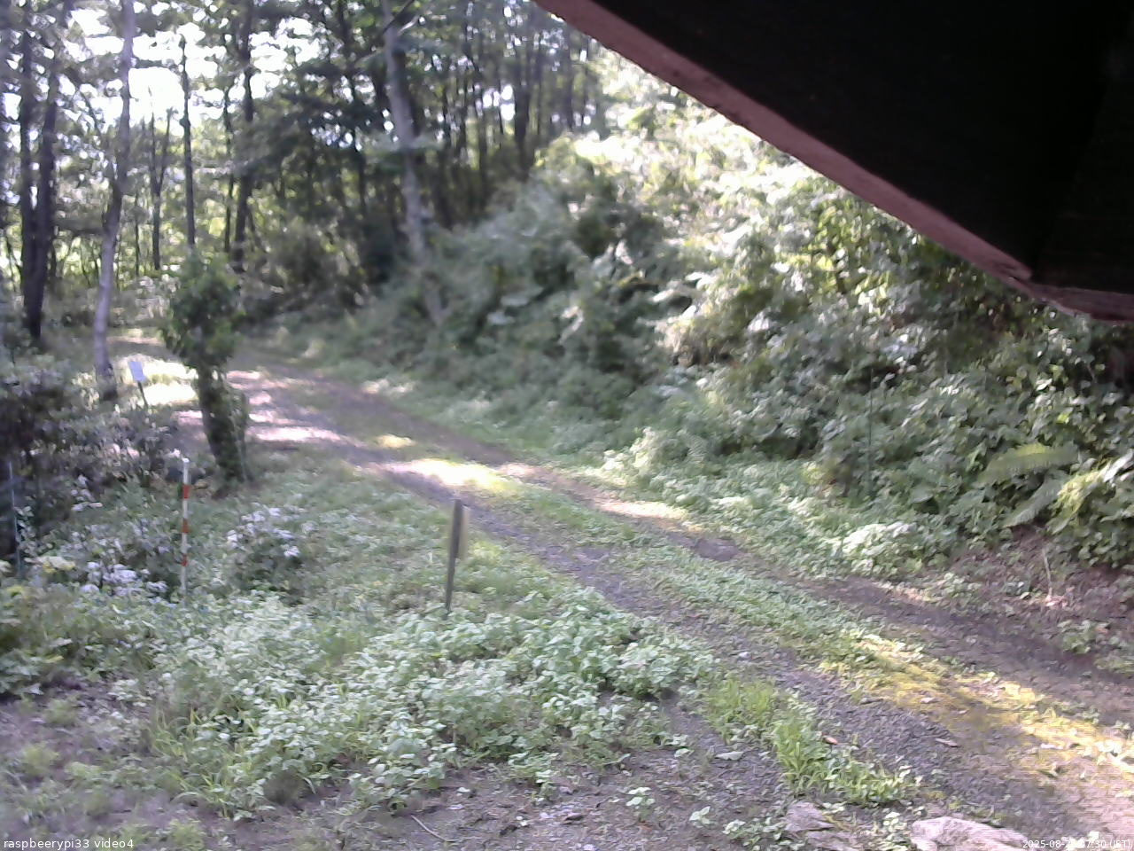 長野県菅平高原 ゆたか山荘 東側(坂下) 2025/08/26 07:30
