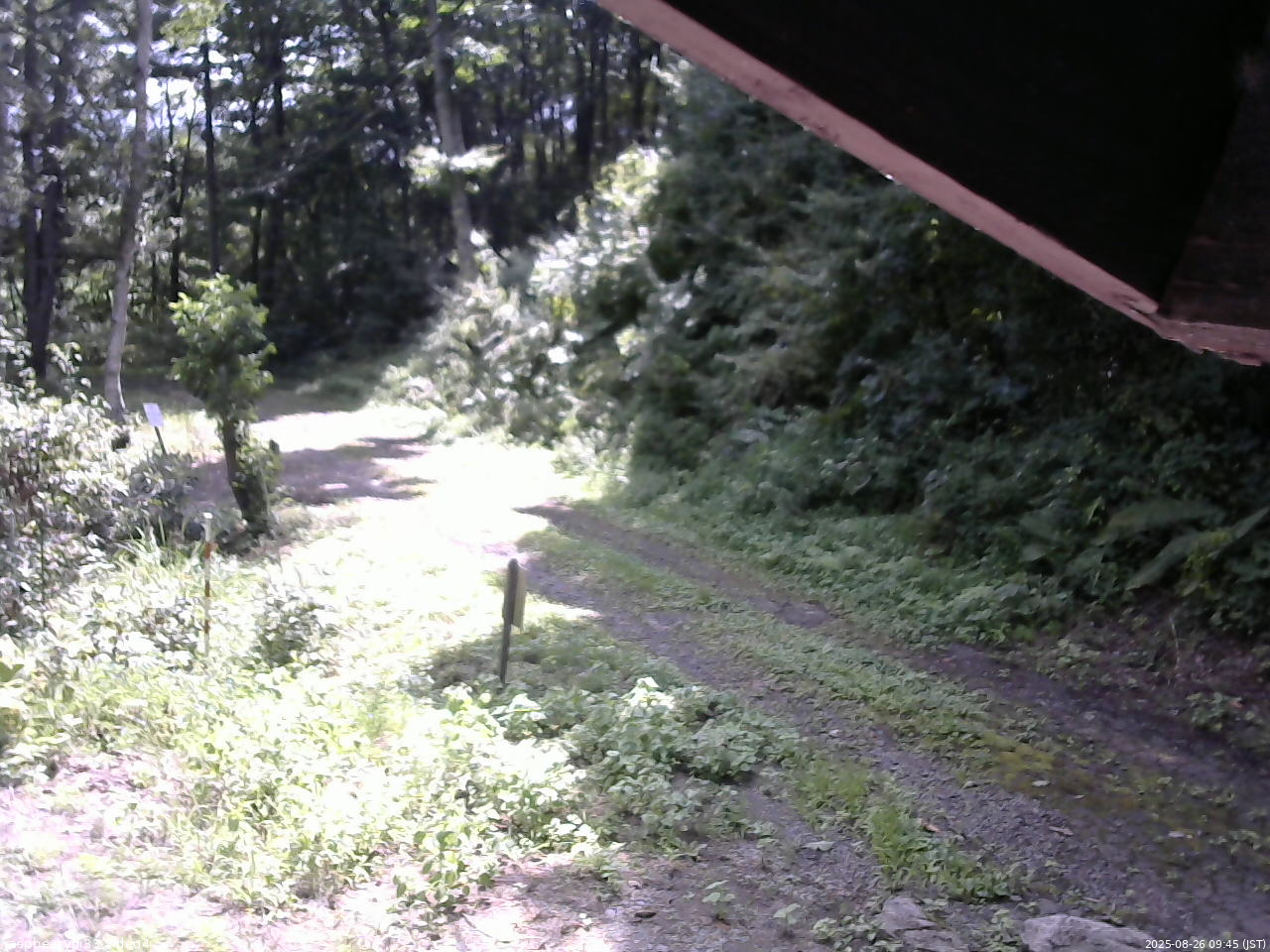長野県菅平高原 ゆたか山荘 東側(坂下) 2025/08/26 09:45