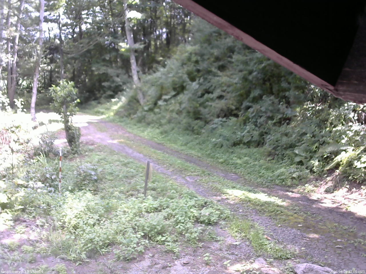 長野県菅平高原 ゆたか山荘 東側(坂下) 2025/08/26 12:00