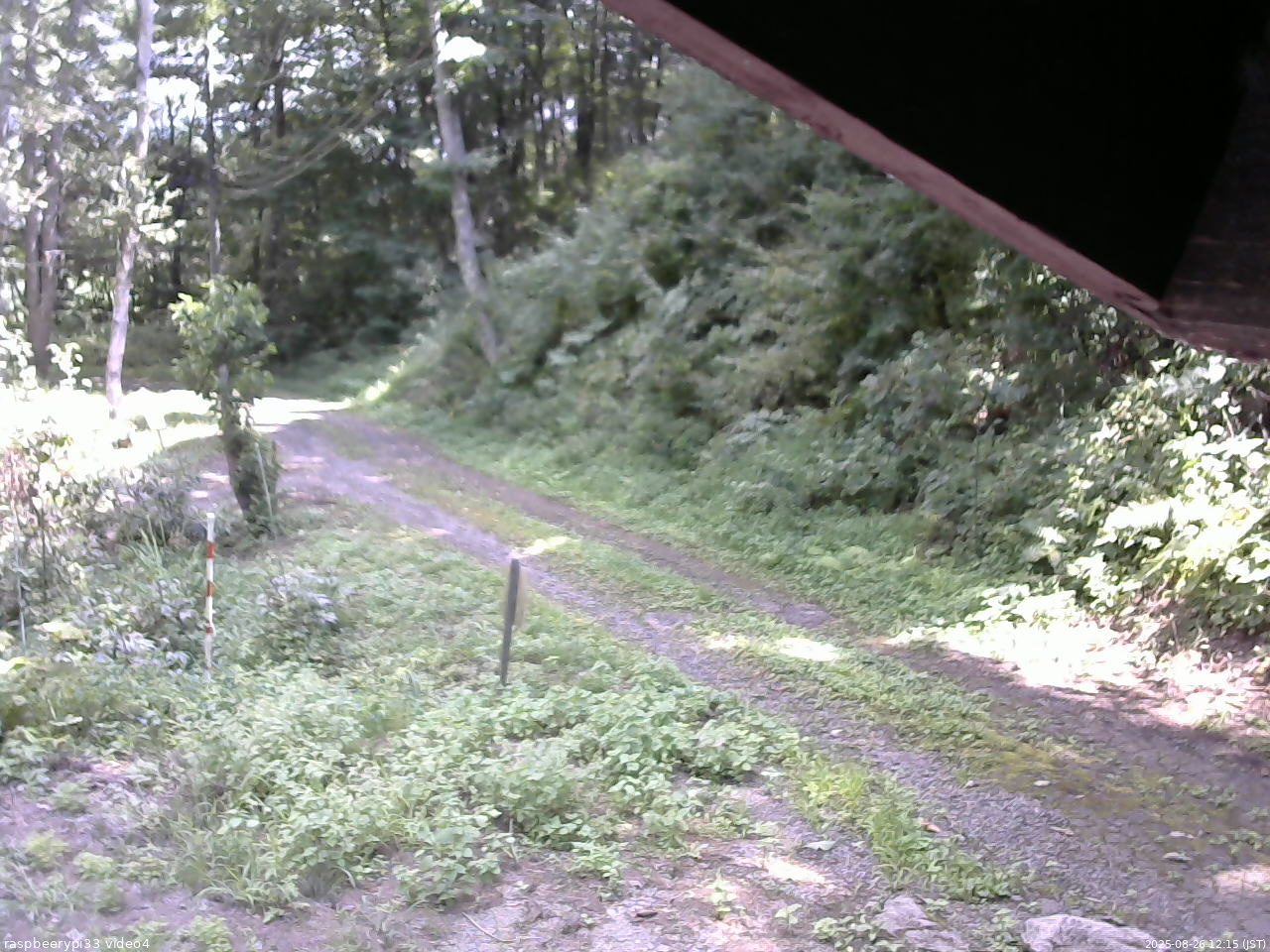 長野県菅平高原 ゆたか山荘 東側(坂下) 2025/08/26 12:15
