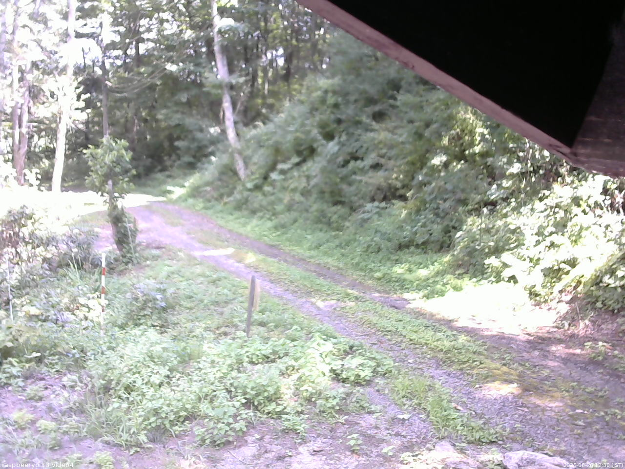 長野県菅平高原 ゆたか山荘 東側(坂下) 2025/08/26 12:30