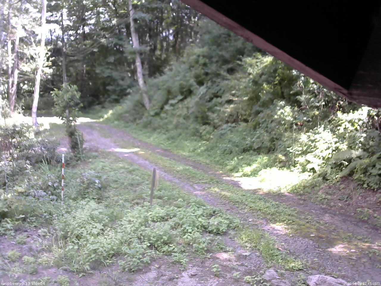 長野県菅平高原 ゆたか山荘 東側(坂下) 2025/08/26 12:45