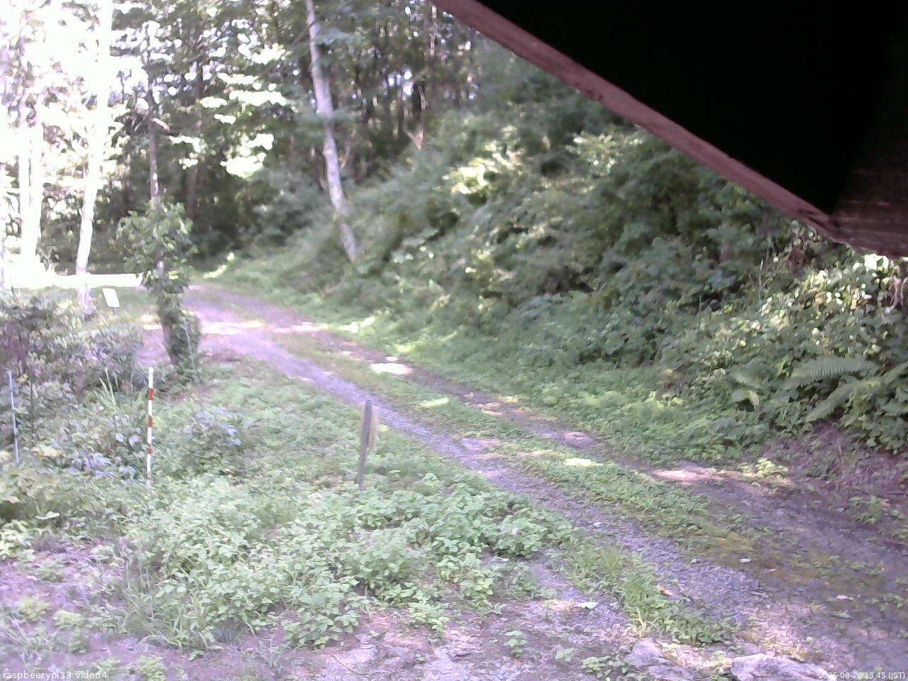 長野県菅平高原 ゆたか山荘 東側(坂下) 2025/08/26 13:45