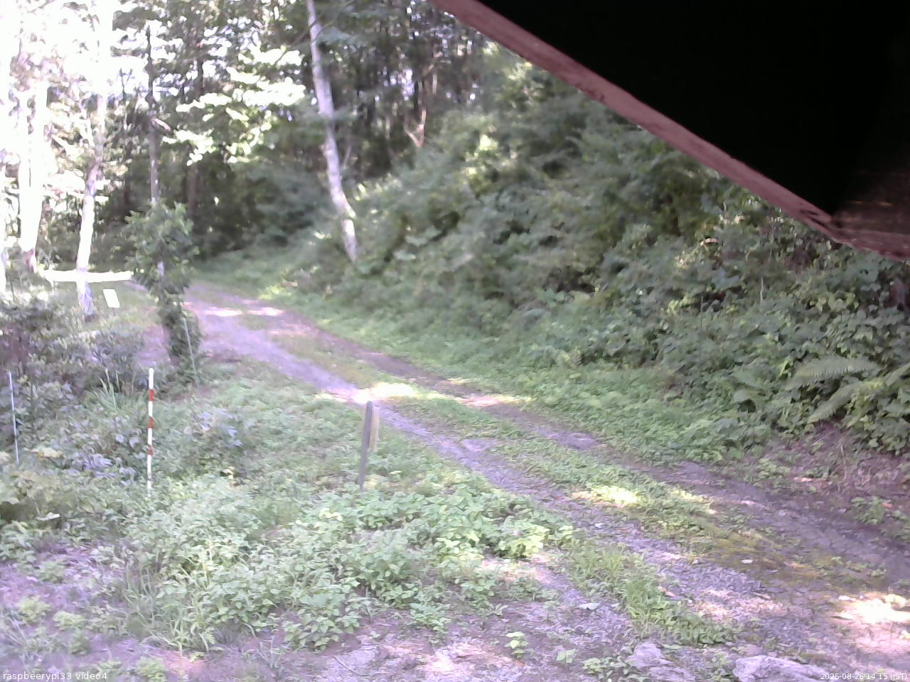 長野県菅平高原 ゆたか山荘 東側(坂下) 2025/08/26 14:15