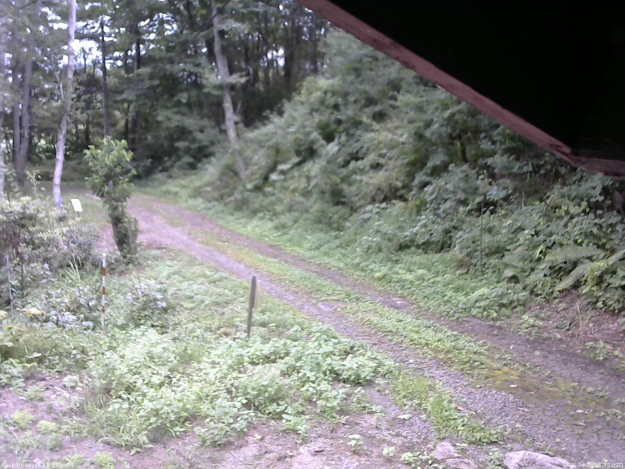 長野県菅平高原 ゆたか山荘 東側(坂下) 2025/08/26 15:30