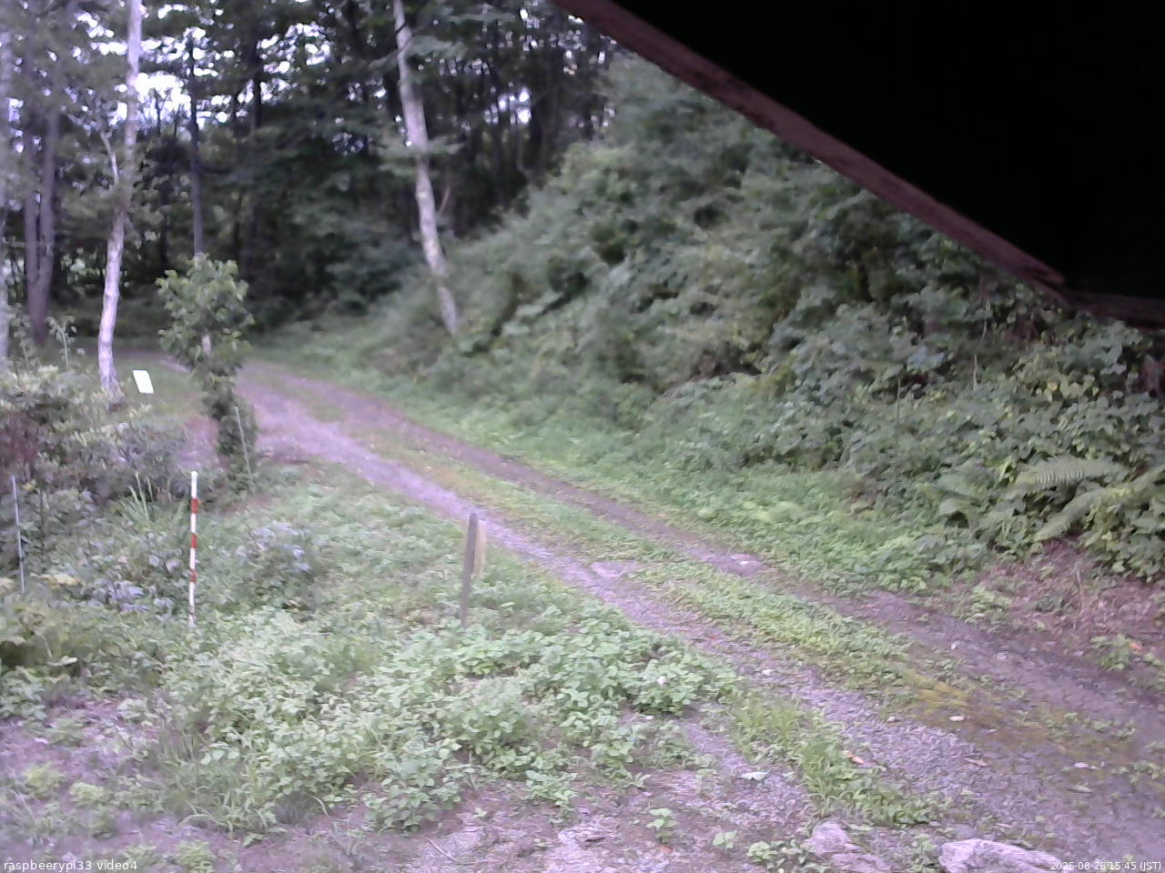 長野県菅平高原 ゆたか山荘 東側(坂下) 2025/08/26 15:45
