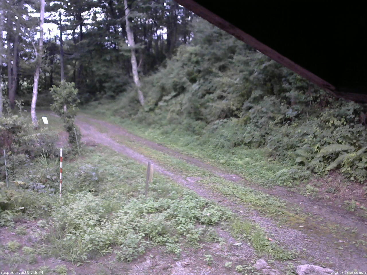長野県菅平高原 ゆたか山荘 東側(坂下) 2025/08/26 16:00