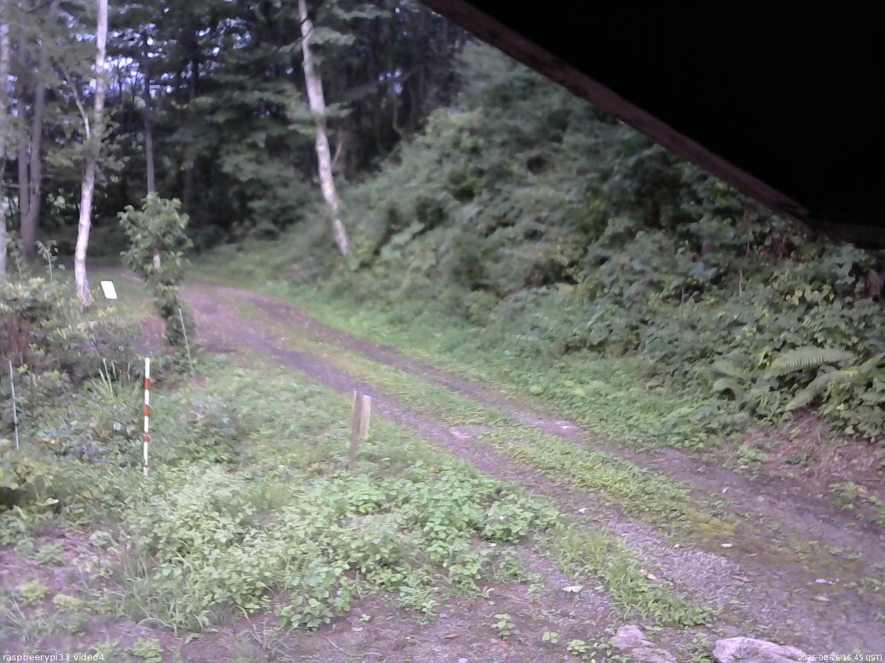 長野県菅平高原 ゆたか山荘 東側(坂下) 2025/08/26 16:45