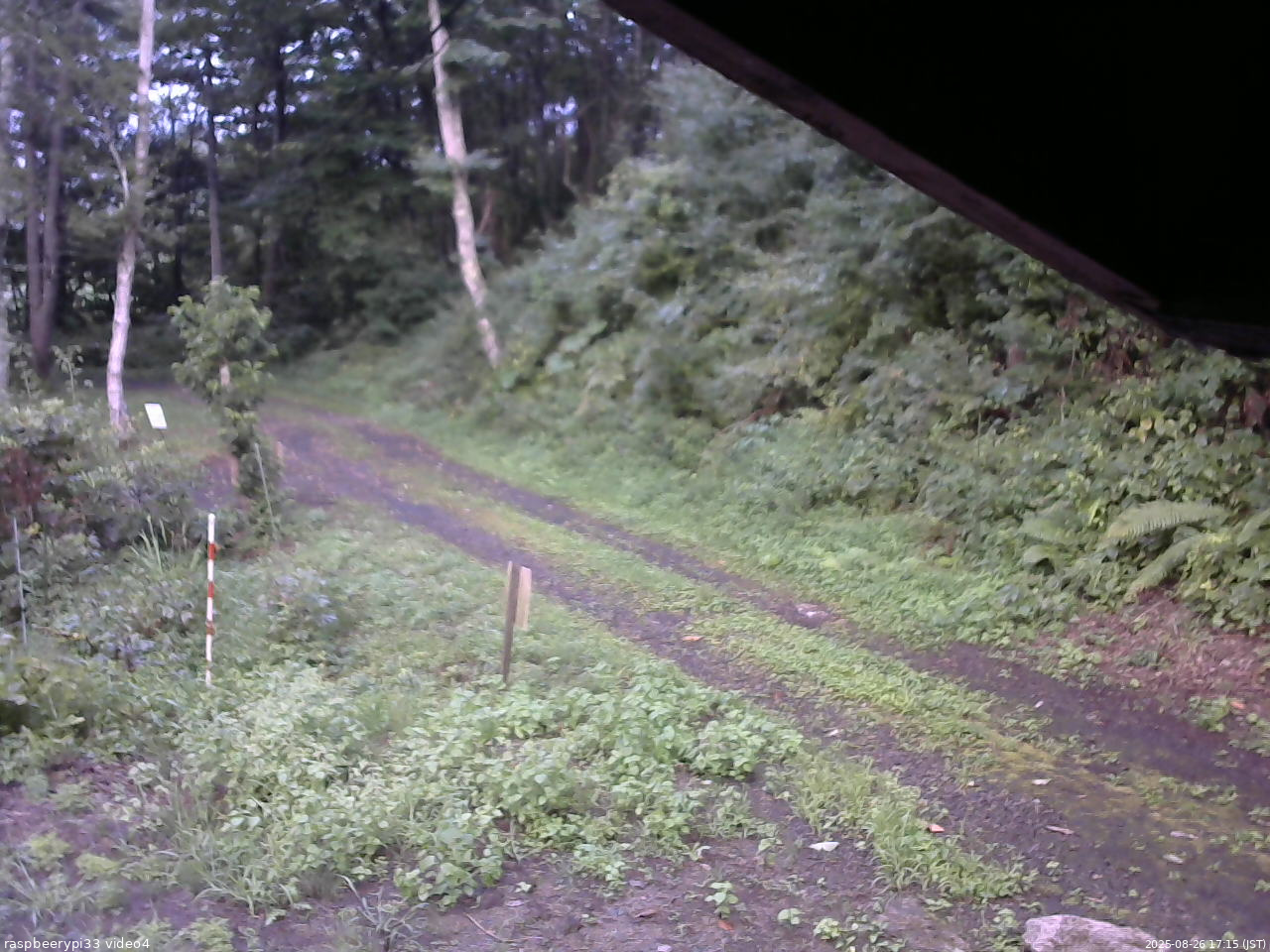 長野県菅平高原 ゆたか山荘 東側(坂下) 2025/08/26 17:15