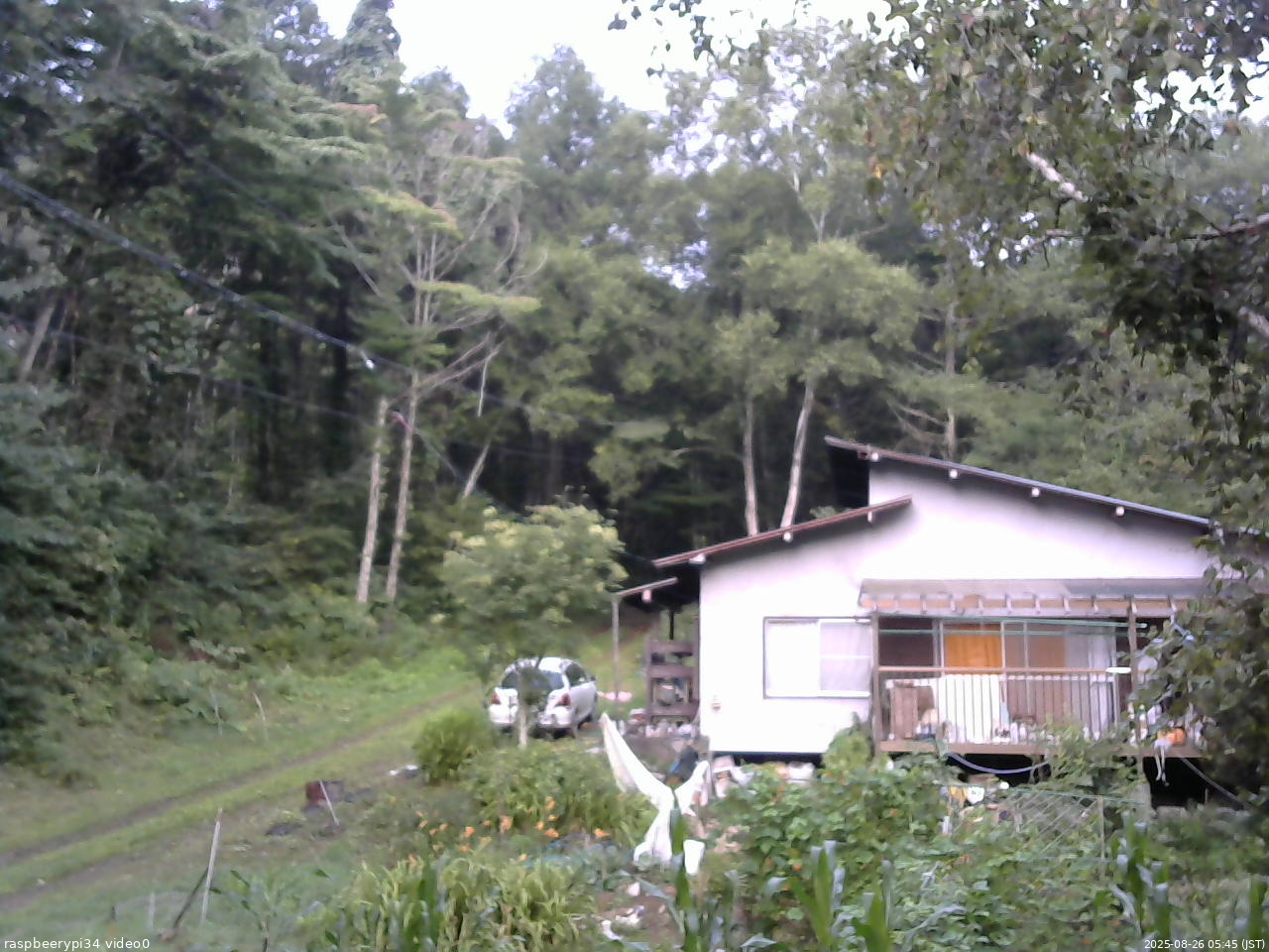 長野県菅平高原 ゆたか山荘 西側(坂上) 2025/08/26 05:45