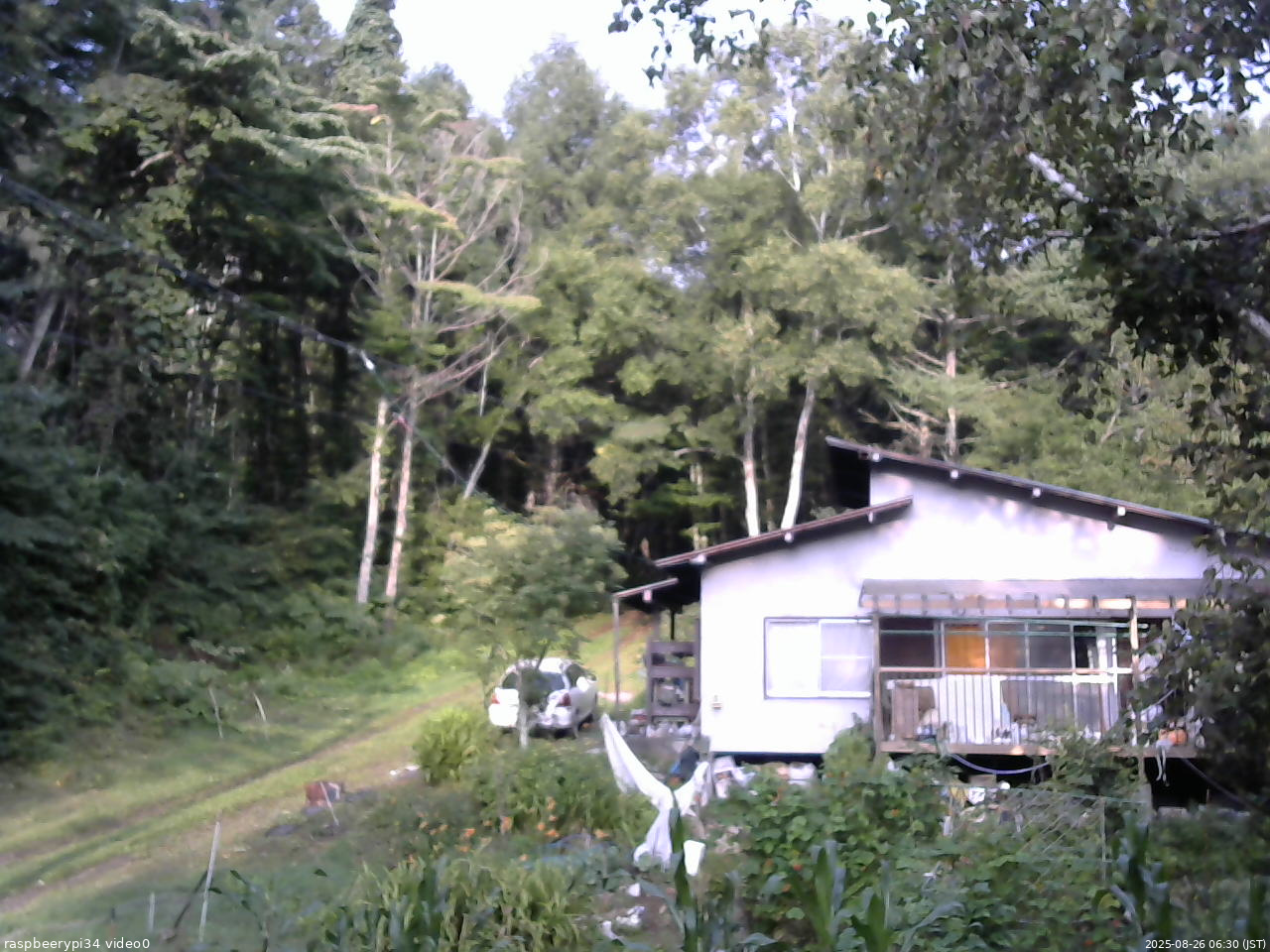 長野県菅平高原 ゆたか山荘 西側(坂上) 2025/08/26 06:30