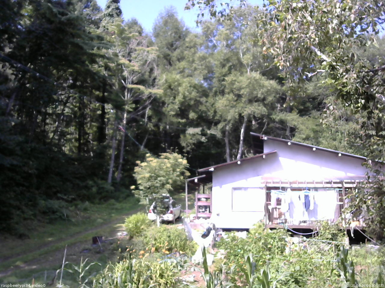 長野県菅平高原 ゆたか山荘 西側(坂上) 2025/08/26 09:30