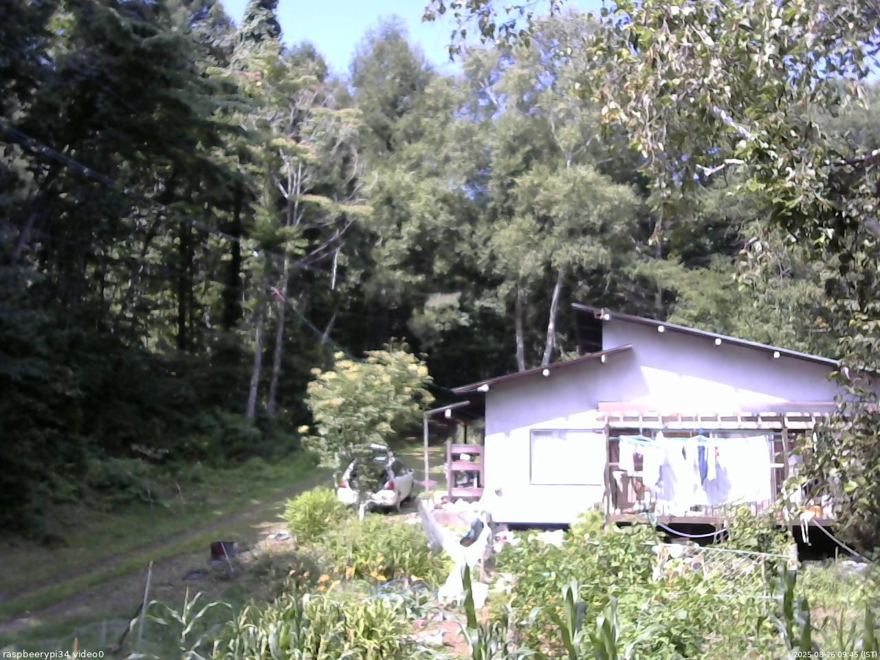 長野県菅平高原 ゆたか山荘 西側(坂上) 2025/08/26 09:45