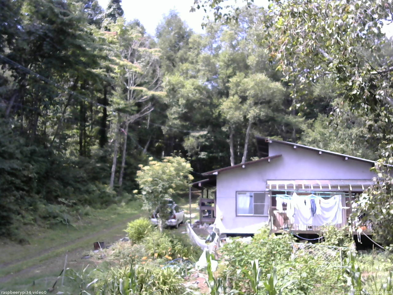 長野県菅平高原 ゆたか山荘 西側(坂上) 2025/08/26 11:00