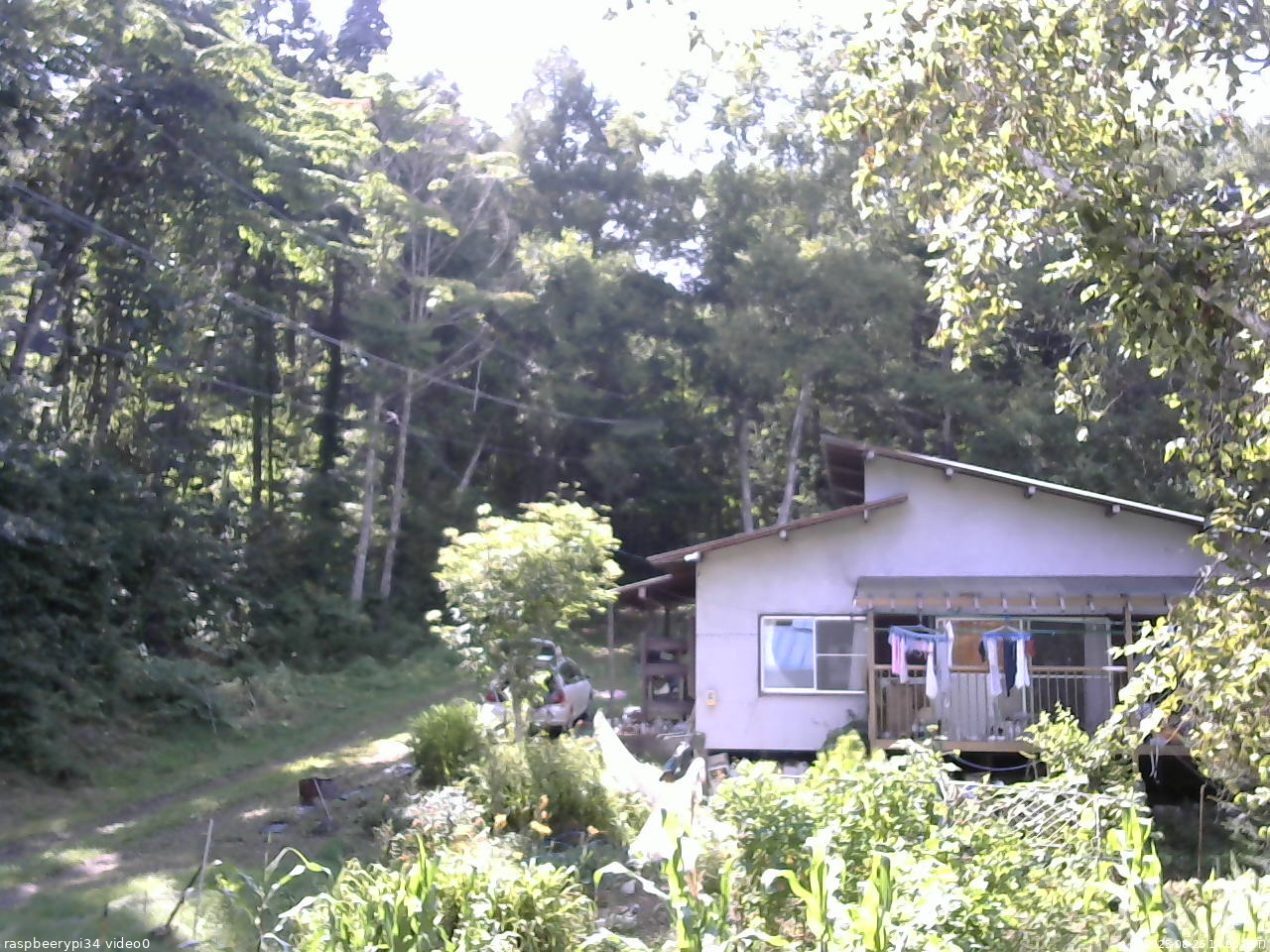 長野県菅平高原 ゆたか山荘 西側(坂上) 2025/08/26 14:00