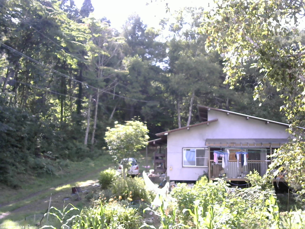 長野県菅平高原 ゆたか山荘 西側(坂上) 2025/08/26 14:15