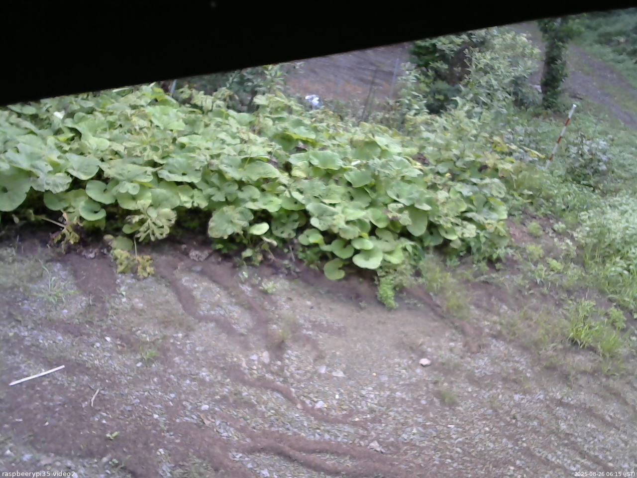 長野県菅平高原 ゆたか山荘 駐車場 2025/08/26 06:15