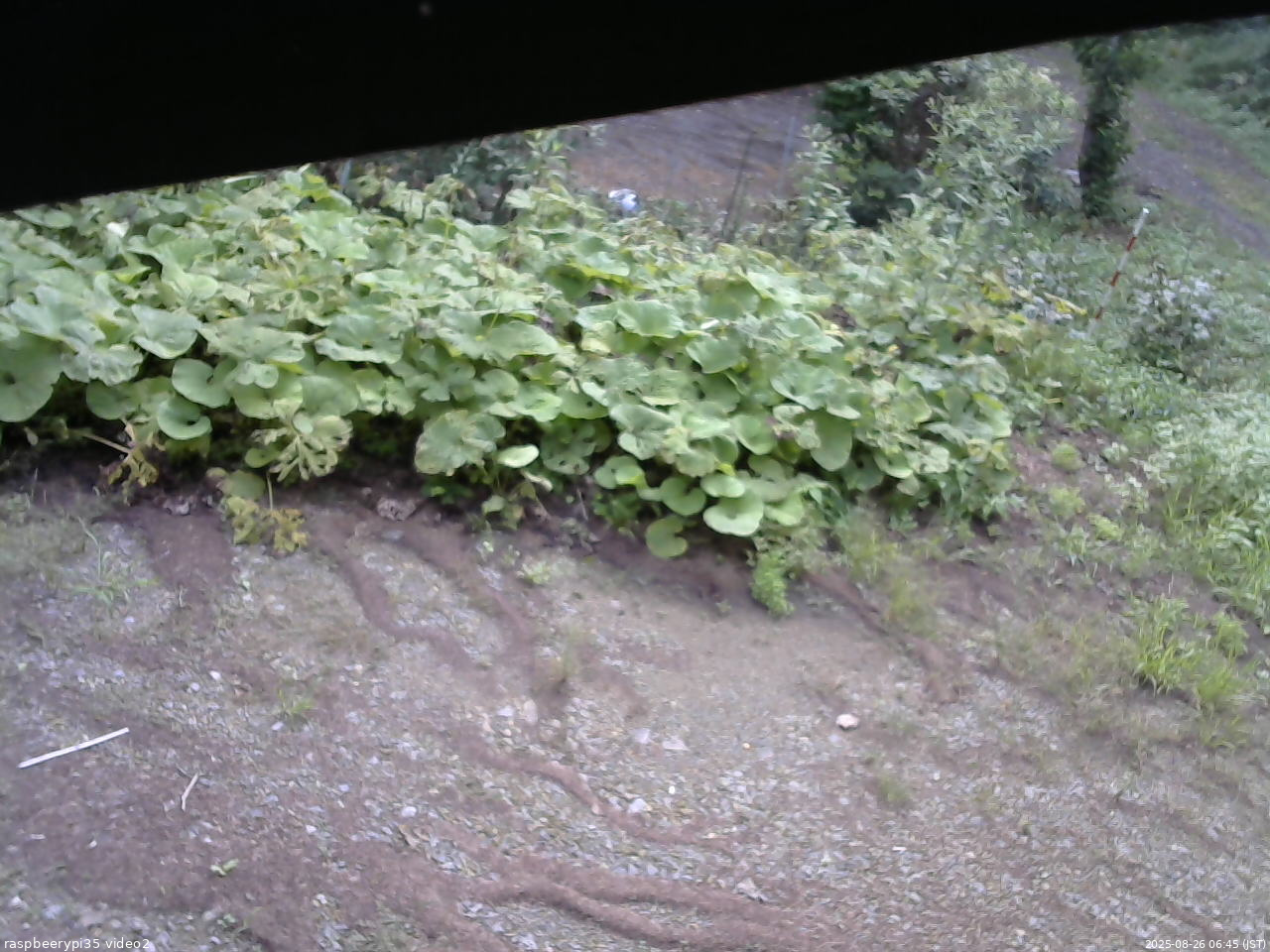 長野県菅平高原 ゆたか山荘 駐車場 2025/08/26 06:45