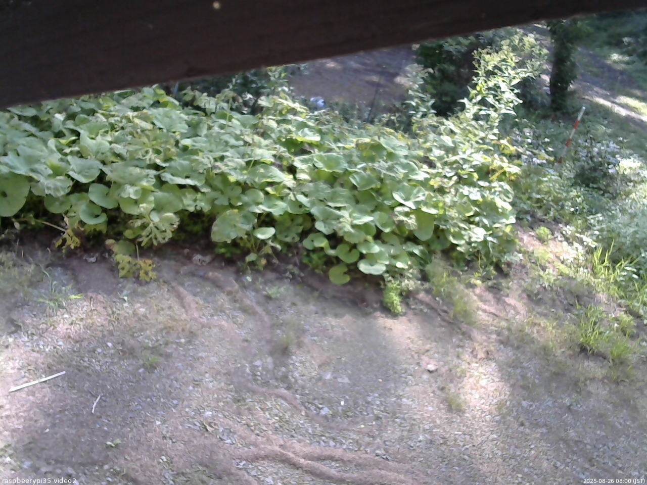 長野県菅平高原 ゆたか山荘 駐車場 2025/08/26 08:00