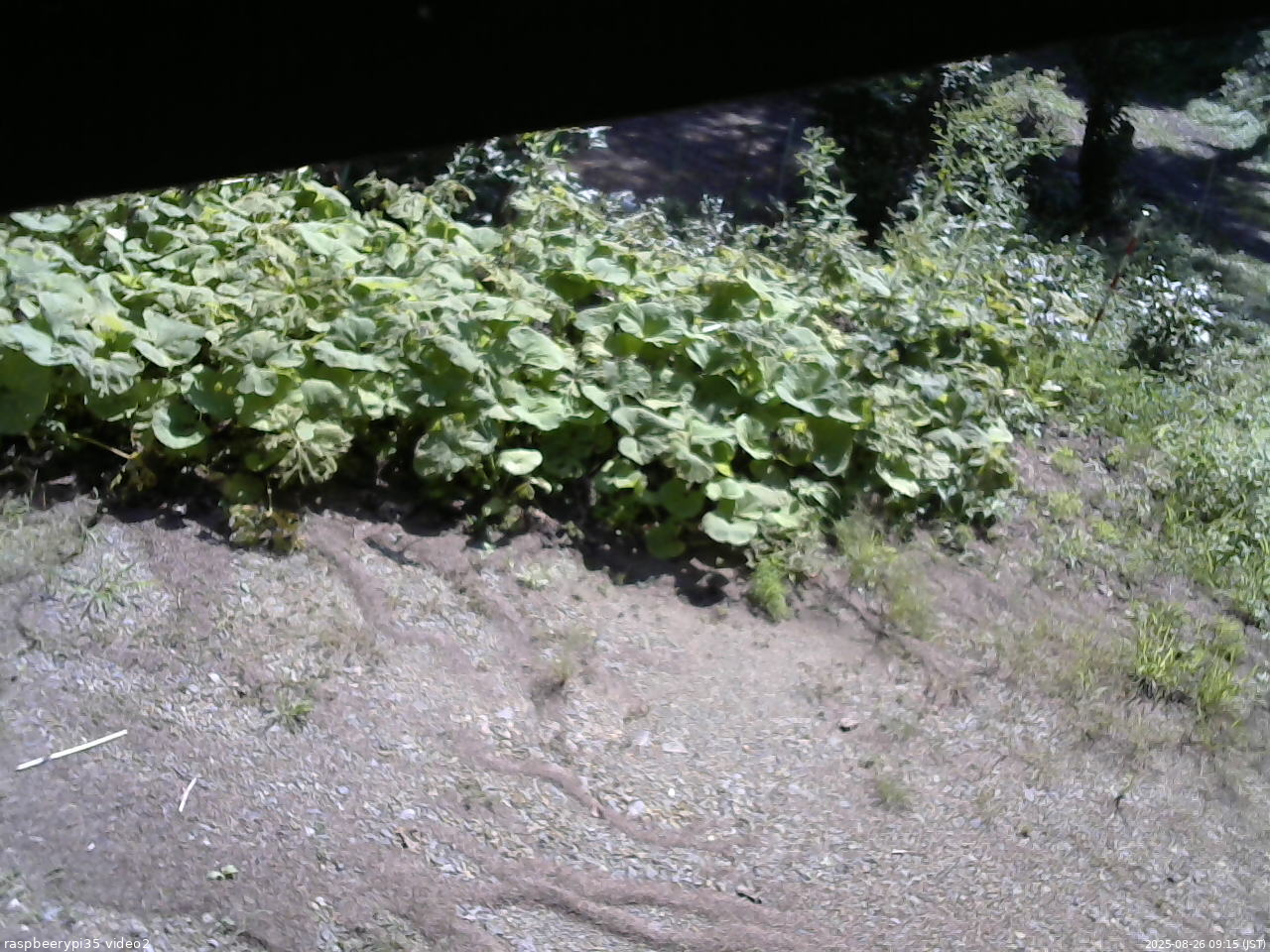 長野県菅平高原 ゆたか山荘 駐車場 2025/08/26 09:15