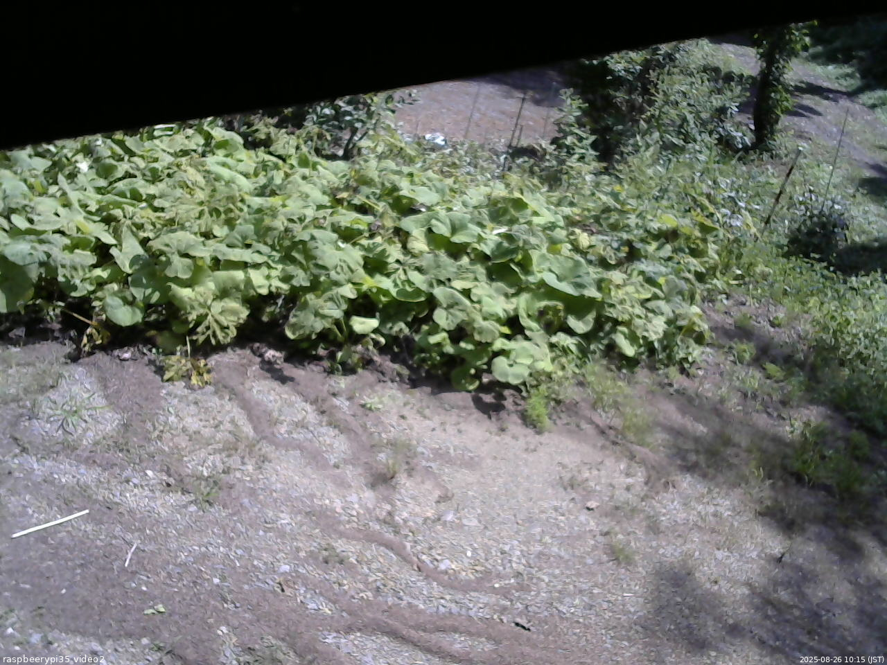 長野県菅平高原 ゆたか山荘 駐車場 2025/08/26 10:15