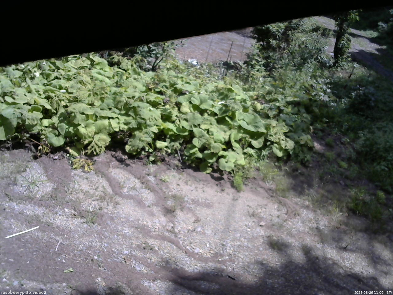 長野県菅平高原 ゆたか山荘 駐車場 2025/08/26 11:00