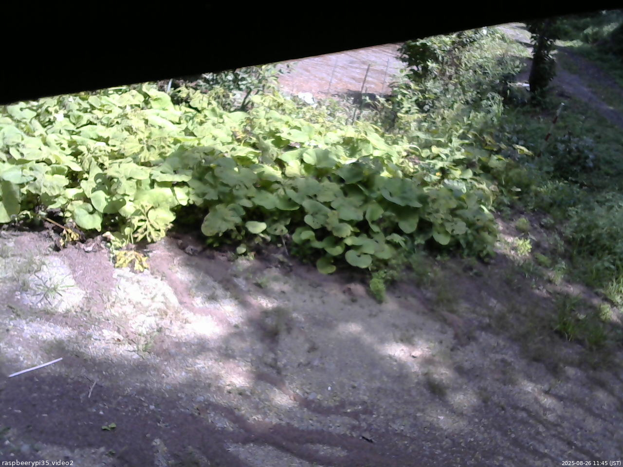 長野県菅平高原 ゆたか山荘 駐車場 2025/08/26 11:45