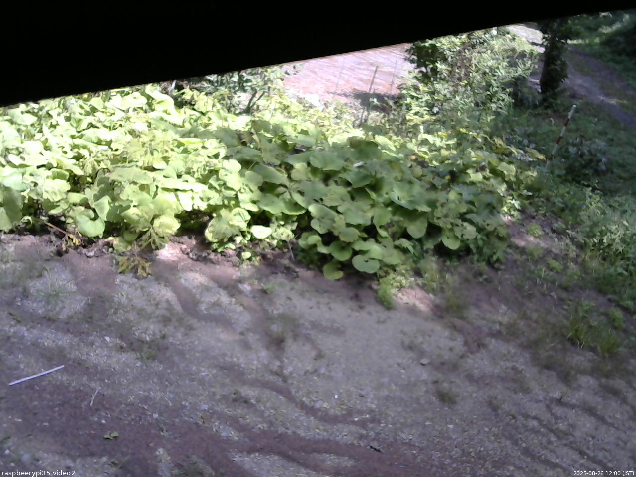 長野県菅平高原 ゆたか山荘 駐車場 2025/08/26 12:00