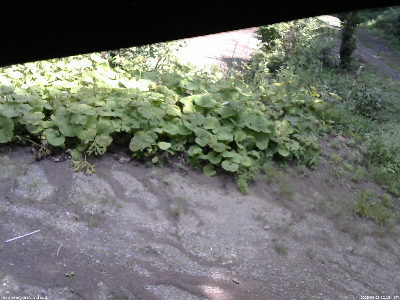 長野県菅平高原 ゆたか山荘 駐車場 2025/08/26 12:15
