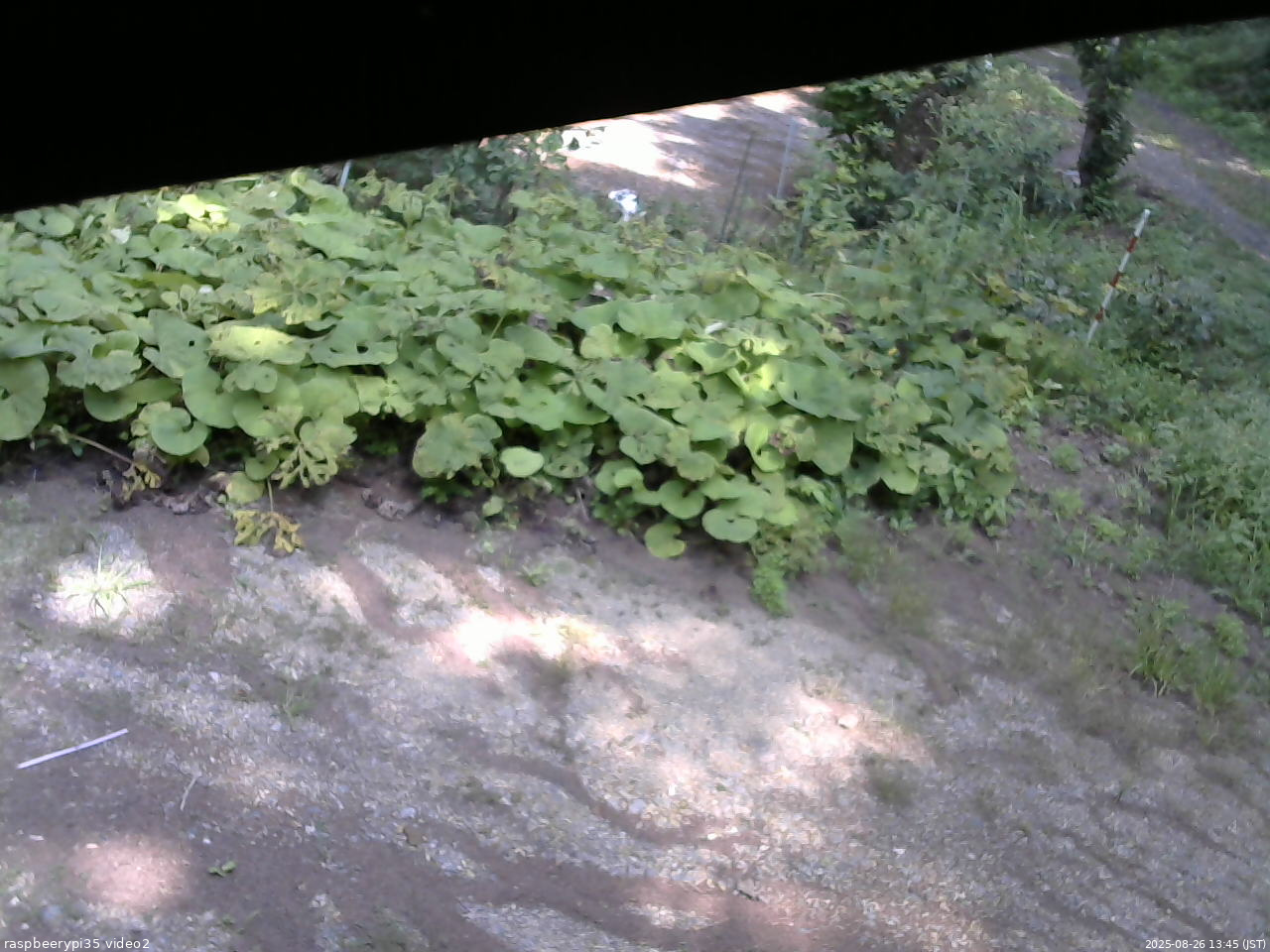 長野県菅平高原 ゆたか山荘 駐車場 2025/08/26 13:45