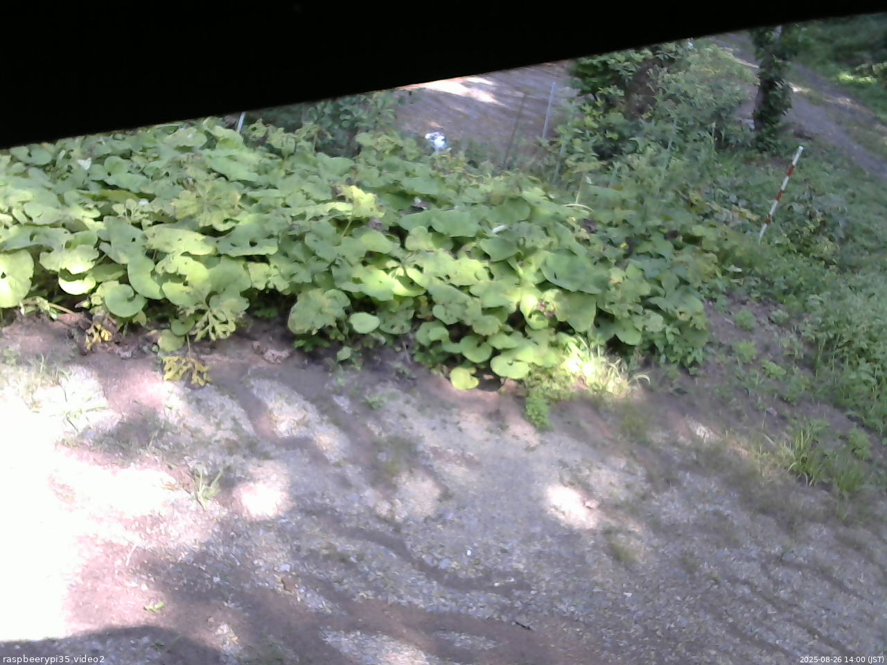 長野県菅平高原 ゆたか山荘 駐車場 2025/08/26 14:00