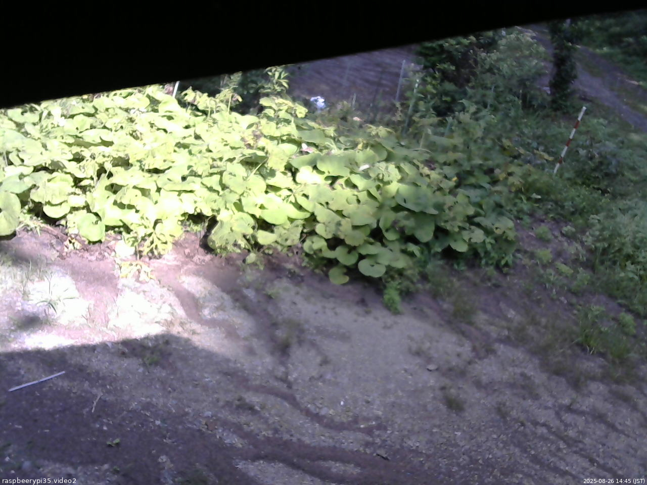 長野県菅平高原 ゆたか山荘 駐車場 2025/08/26 14:45