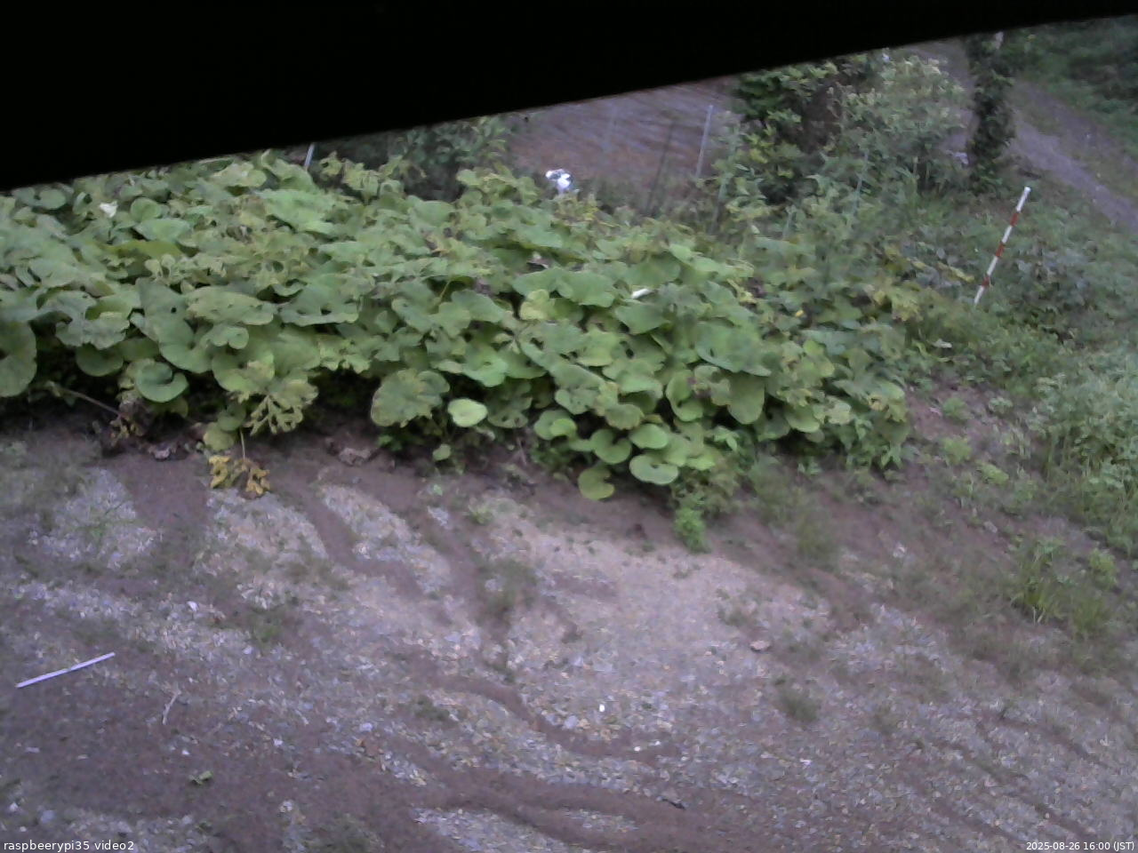 長野県菅平高原 ゆたか山荘 駐車場 2025/08/26 16:00
