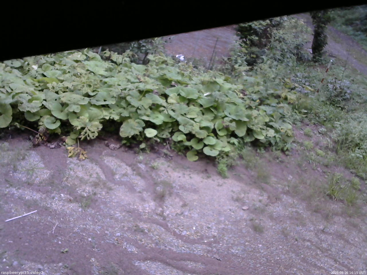 長野県菅平高原 ゆたか山荘 駐車場 2025/08/26 16:15