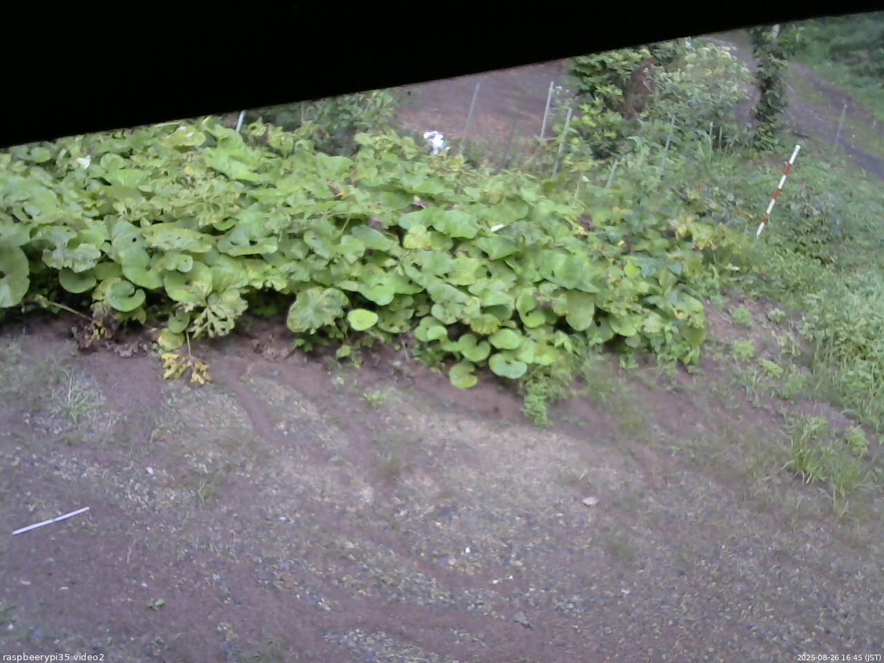 長野県菅平高原 ゆたか山荘 駐車場 2025/08/26 16:45