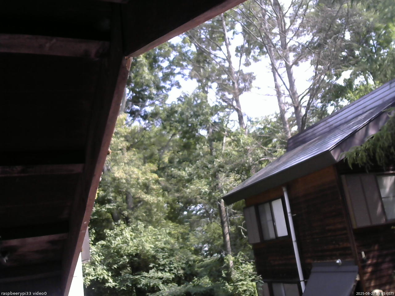 長野県菅平高原 ゆたか山荘 北側 2025/08/27 09:45
