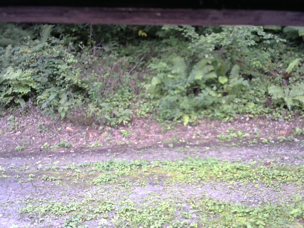 長野県菅平高原 ゆたか山荘 南側 2025/08/27 12:45