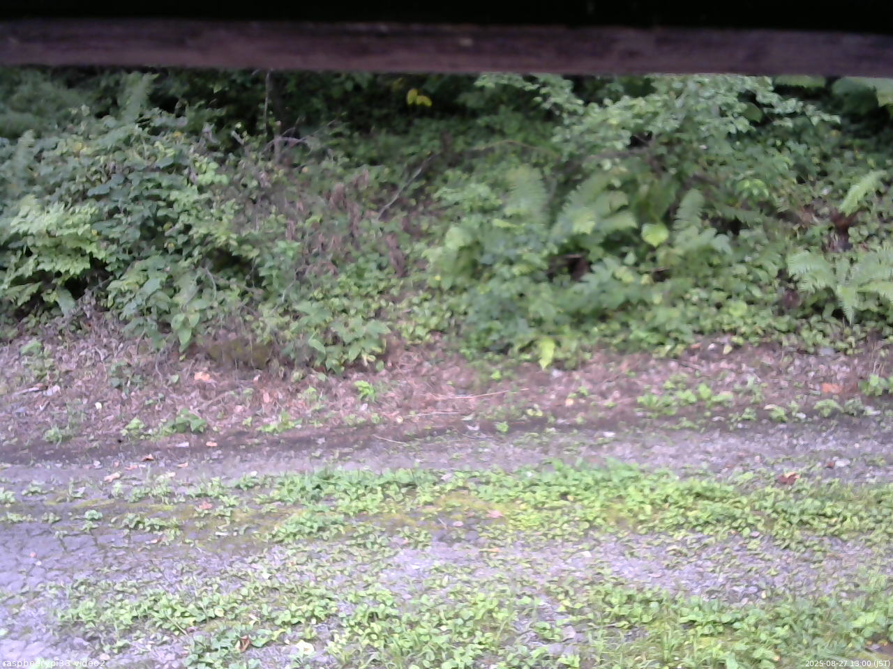 長野県菅平高原 ゆたか山荘 南側 2025/08/27 13:00