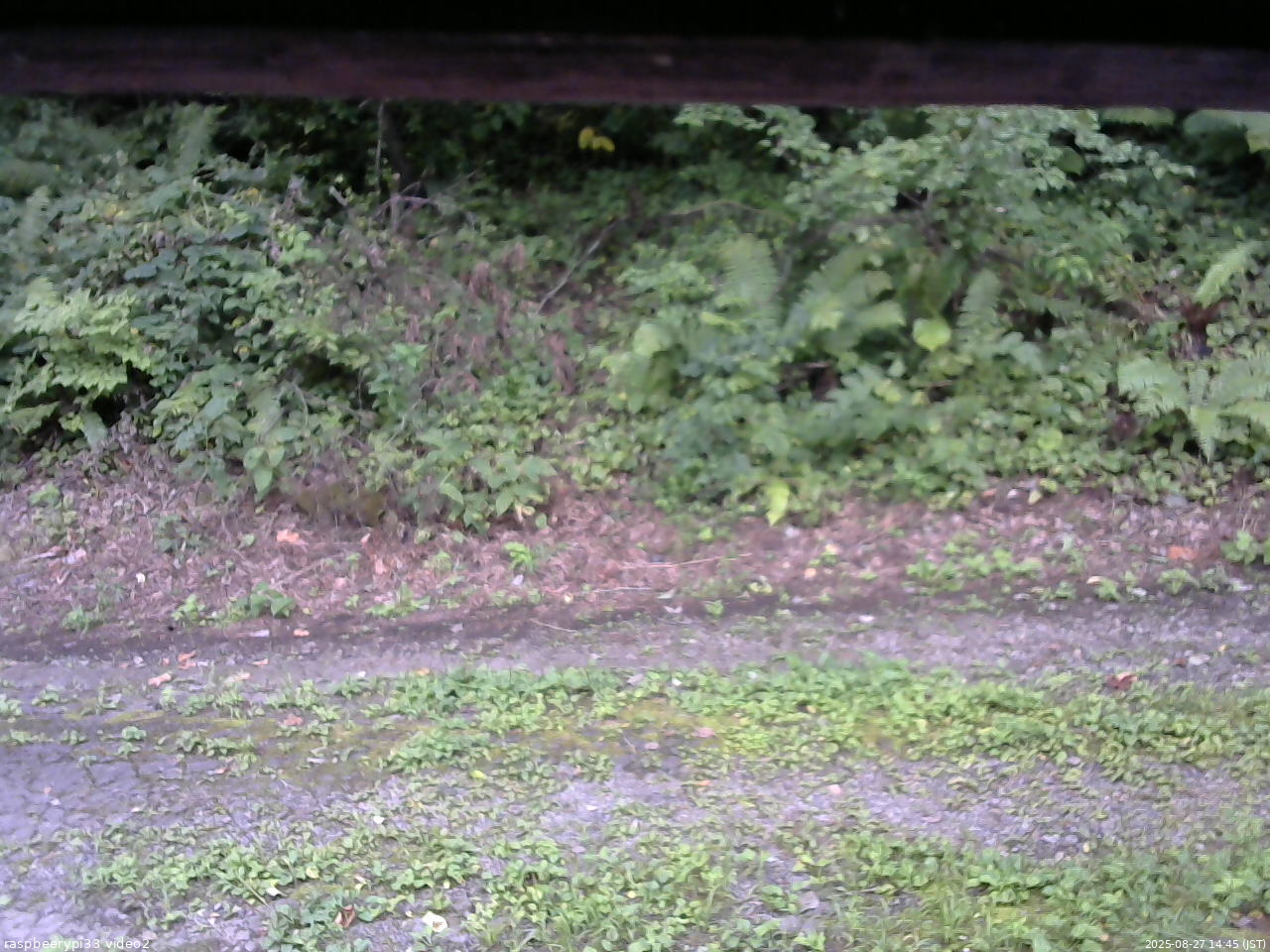 長野県菅平高原 ゆたか山荘 南側 2025/08/27 14:45