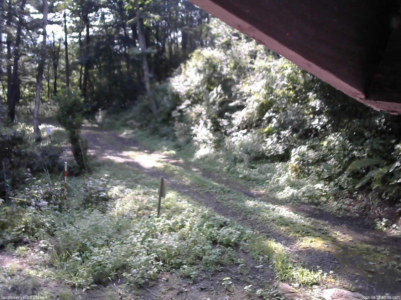 長野県菅平高原 ゆたか山荘 東側(坂下) 2025/08/27 08:00