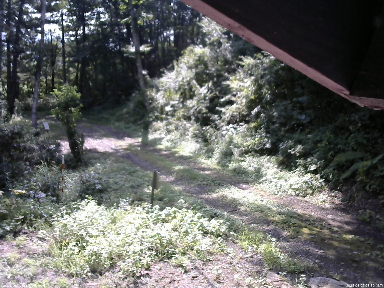 長野県菅平高原 ゆたか山荘 東側(坂下) 2025/08/27 08:30