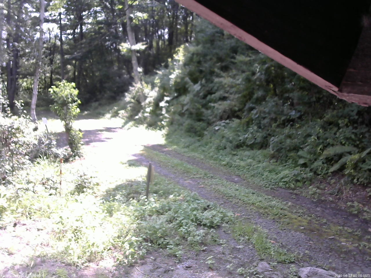 長野県菅平高原 ゆたか山荘 東側(坂下) 2025/08/27 10:00