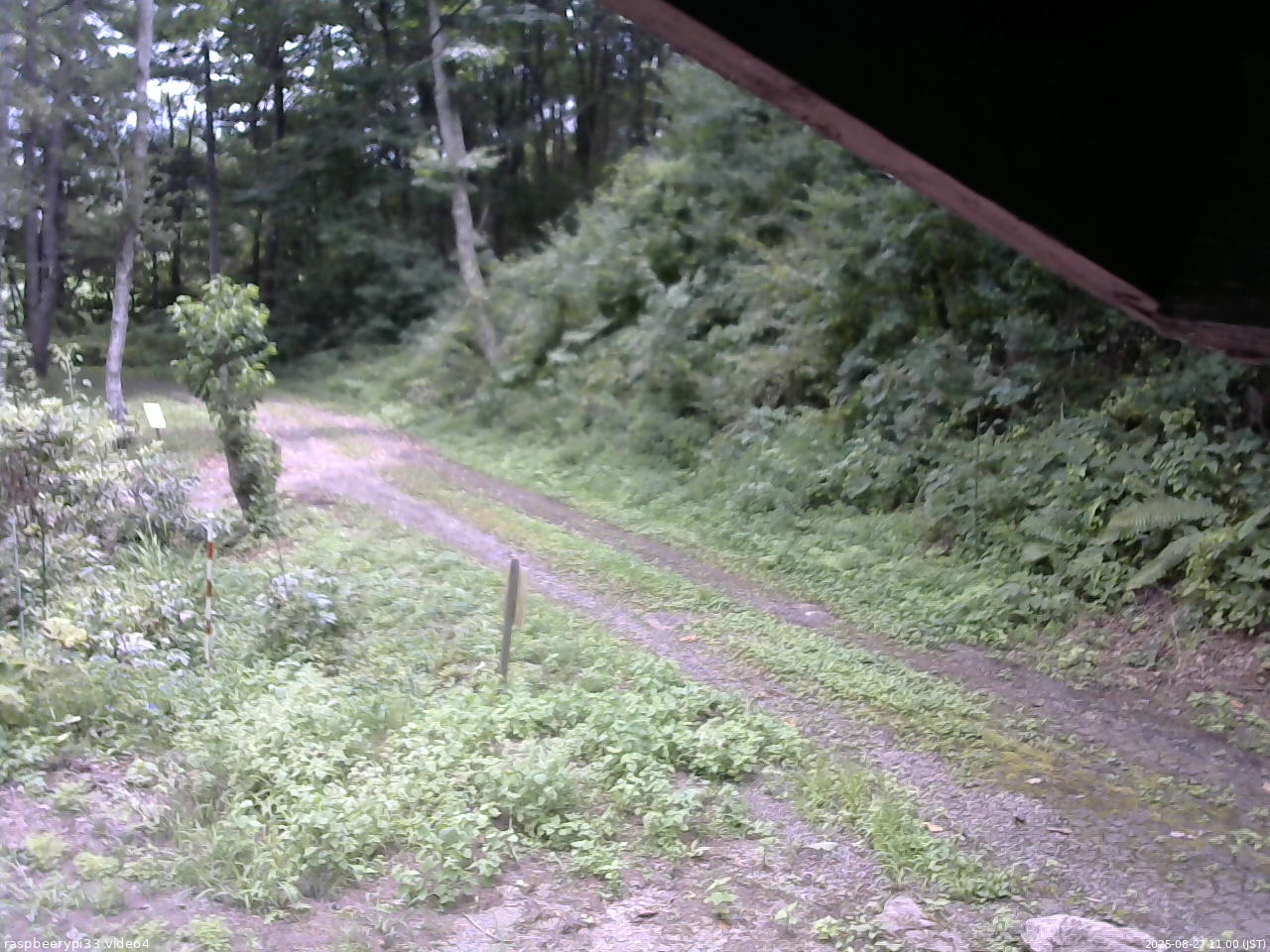 長野県菅平高原 ゆたか山荘 東側(坂下) 2025/08/27 11:00