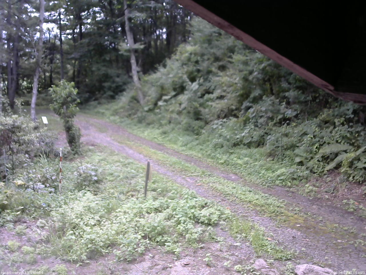 長野県菅平高原 ゆたか山荘 東側(坂下) 2025/08/27 12:00