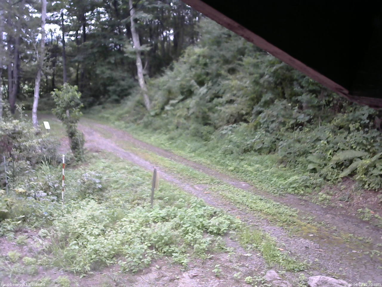 長野県菅平高原 ゆたか山荘 東側(坂下) 2025/08/27 12:30