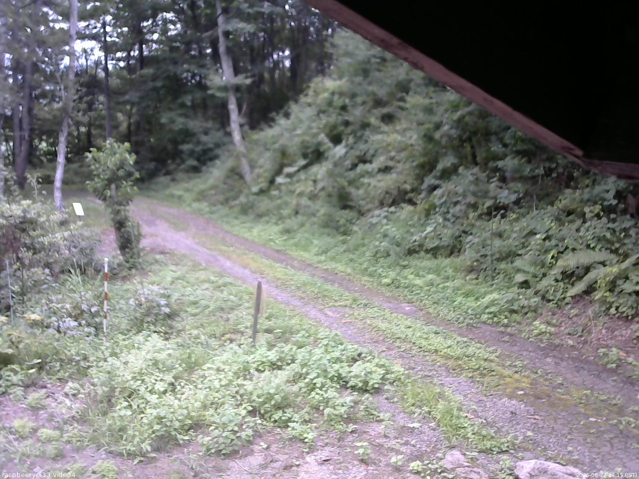 長野県菅平高原 ゆたか山荘 東側(坂下) 2025/08/27 14:15