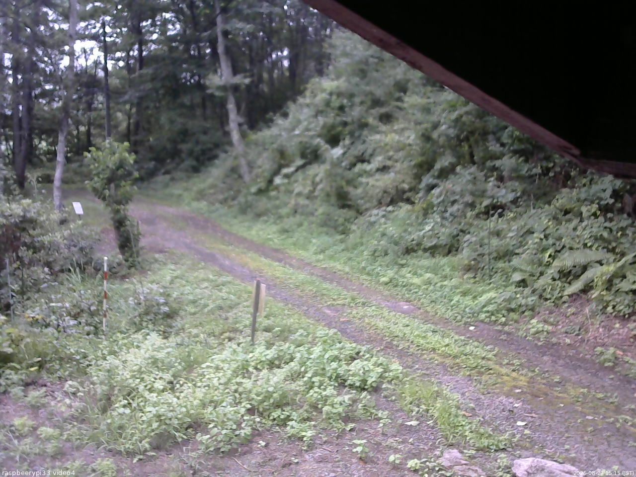 長野県菅平高原 ゆたか山荘 東側(坂下) 2025/08/27 15:15