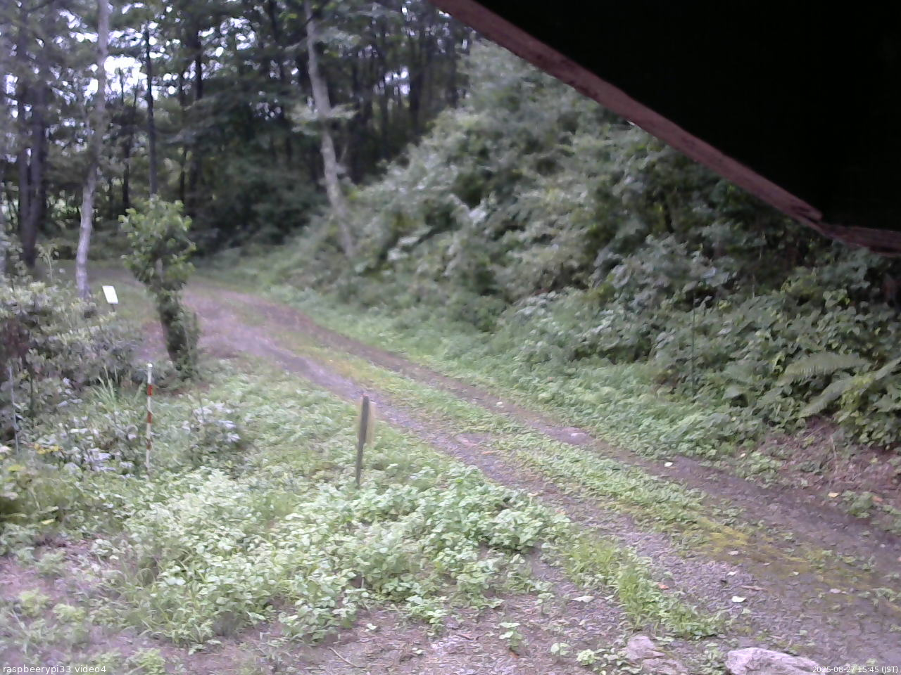 長野県菅平高原 ゆたか山荘 東側(坂下) 2025/08/27 15:45