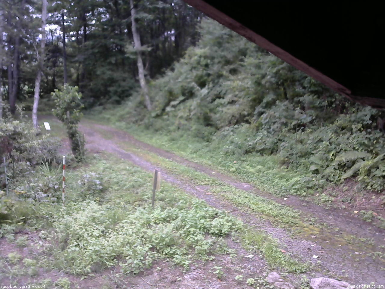 長野県菅平高原 ゆたか山荘 東側(坂下) 2025/08/27 16:00